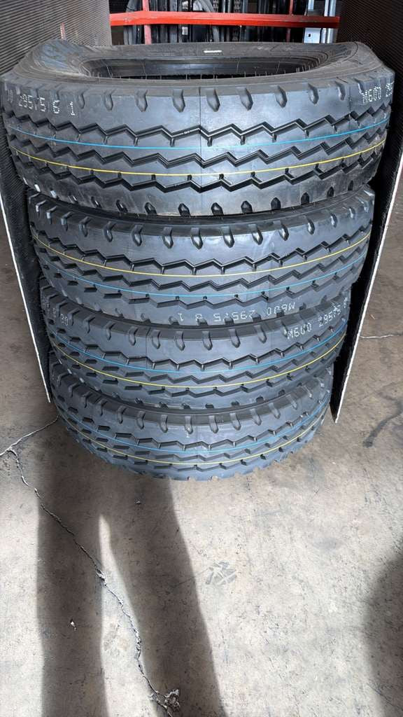 295/75r22.5-16 Mixed Service Tire Dragon MSA01 All Position Tire